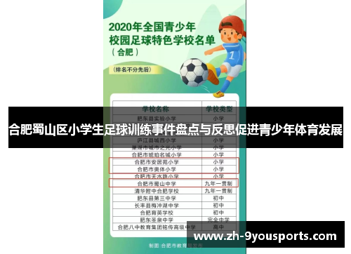 合肥蜀山区小学生足球训练事件盘点与反思促进青少年体育发展