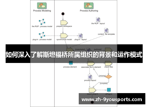 如何深入了解斯坦福桥所属组织的背景和运作模式