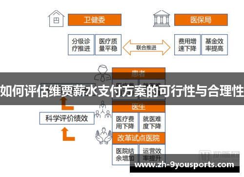 如何评估维贾薪水支付方案的可行性与合理性