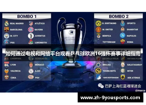 如何通过电视和网络平台观看乒乓球欧洲16强杯赛事详细指南