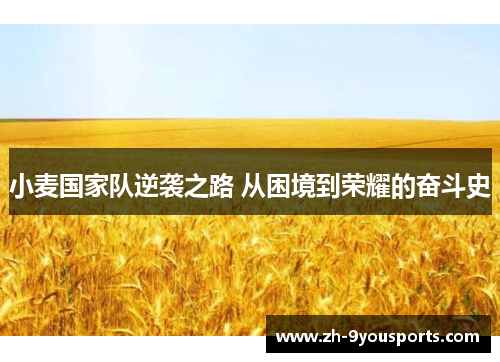 小麦国家队逆袭之路 从困境到荣耀的奋斗史