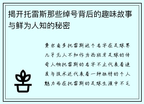 揭开托雷斯那些绰号背后的趣味故事与鲜为人知的秘密